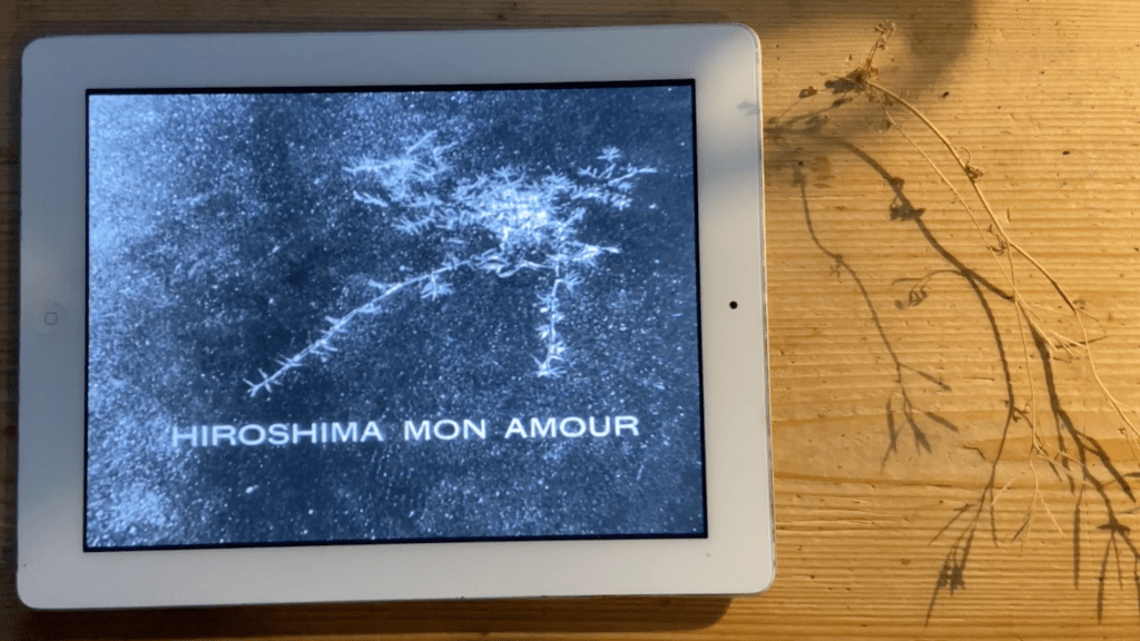 Johannes Binotto: Trace