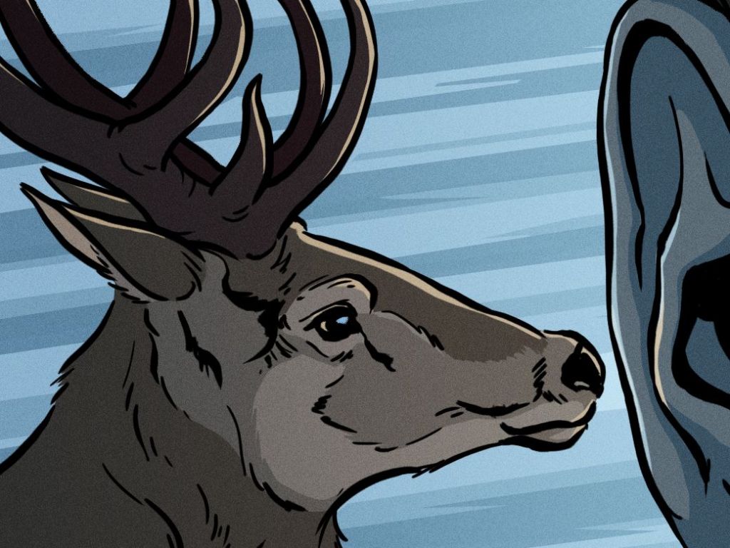 Oswald Iten: Sensuous and&nbsp;Affective